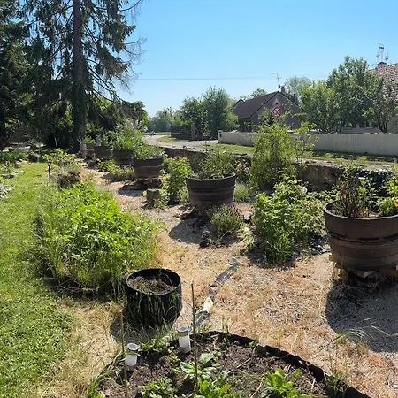 Le Cedre Bleu - Bed & Breakfast *